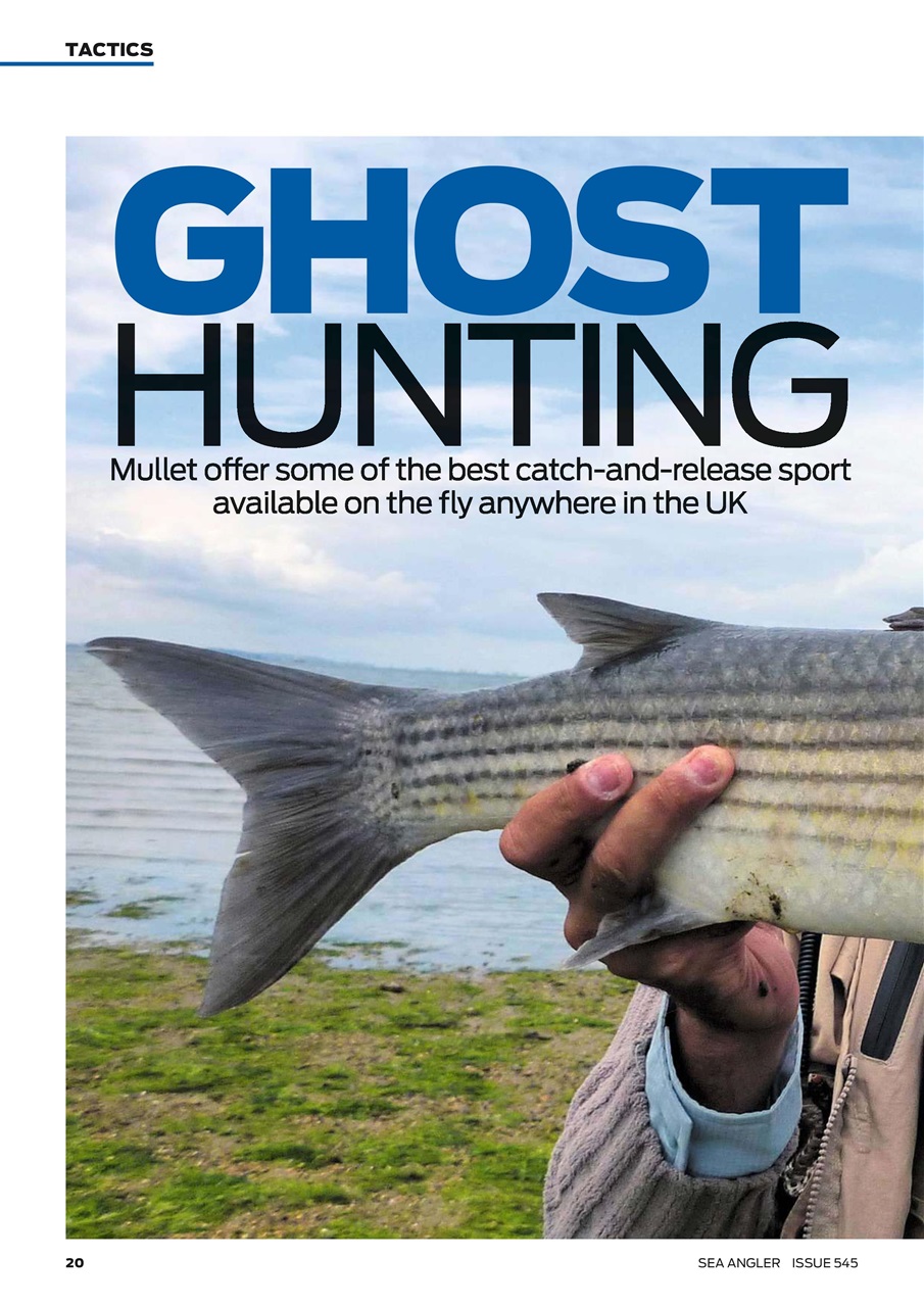 Sea Angler Preview Pages