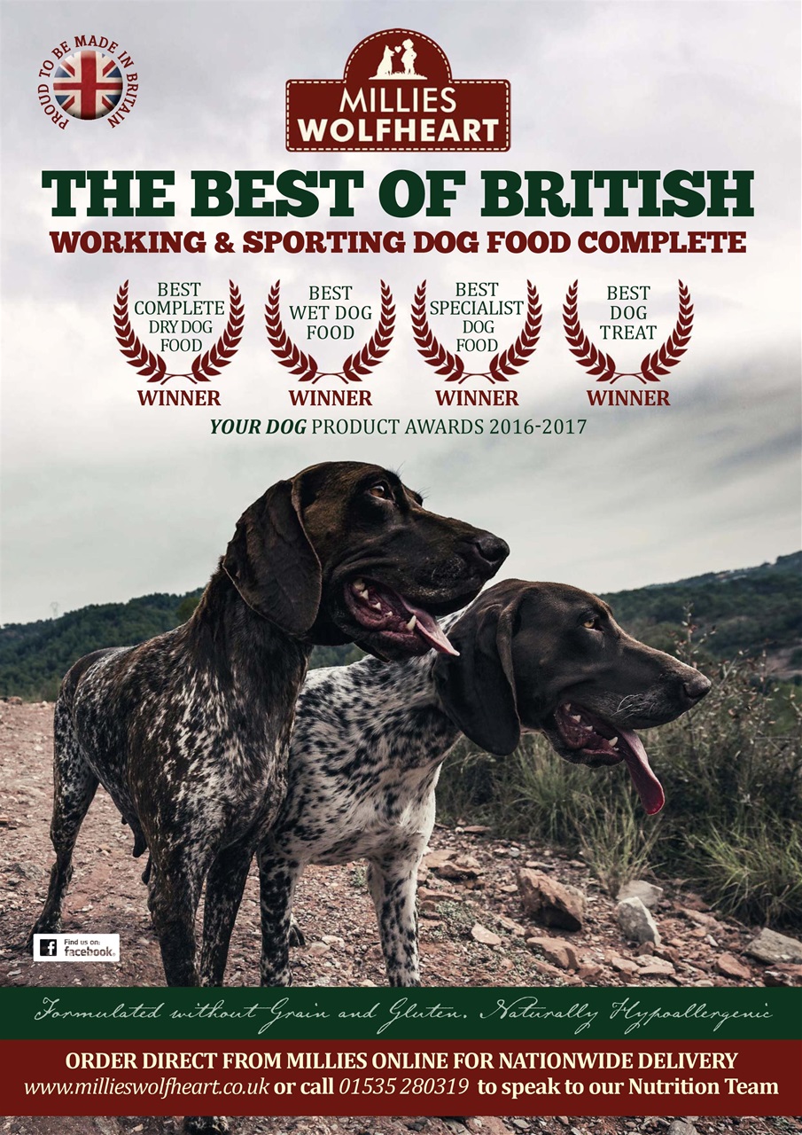 Dogs Monthly Preview Pages