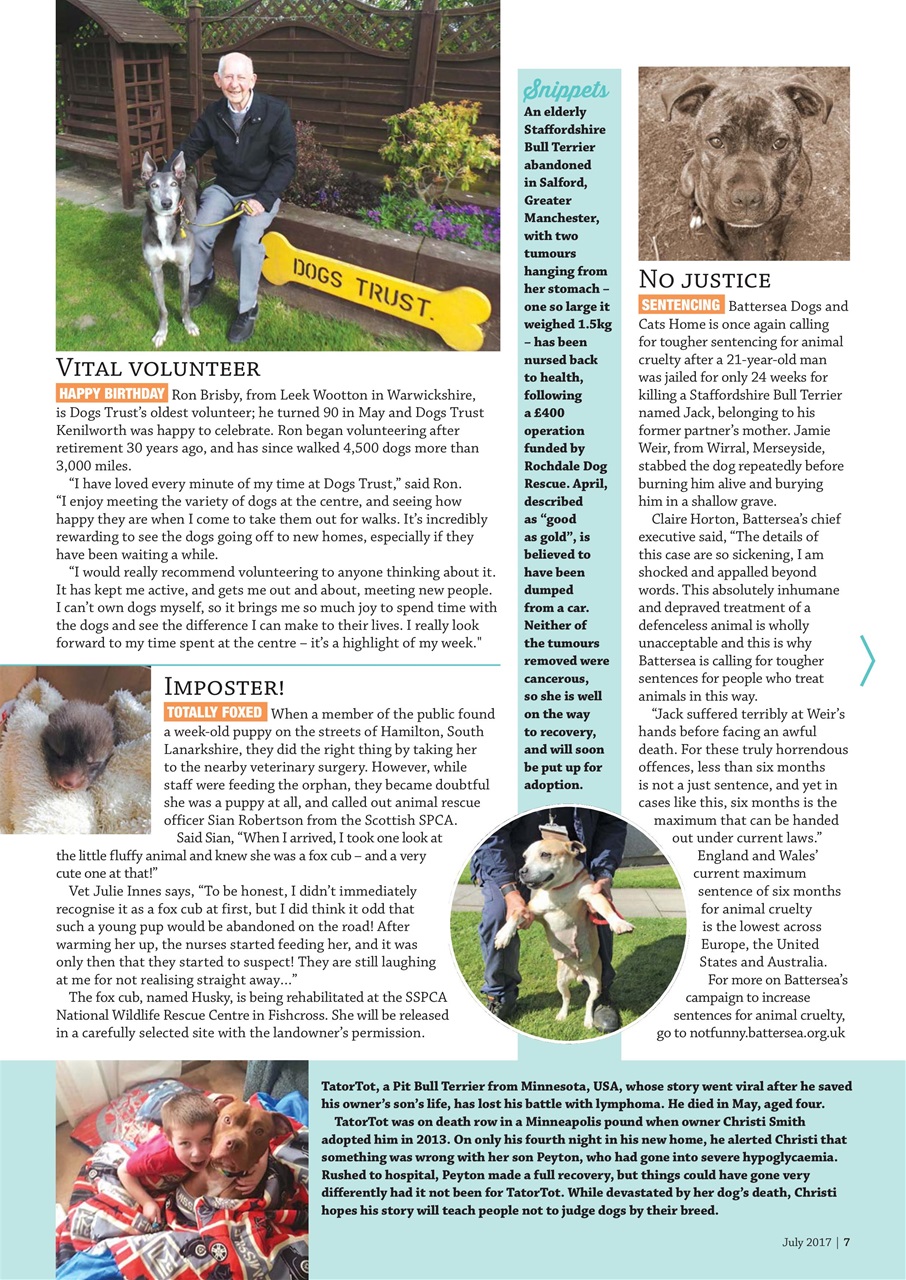 Dogs Monthly Preview Pages