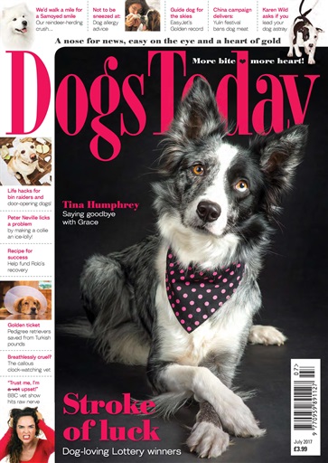 Dogs Today Magazine issue 