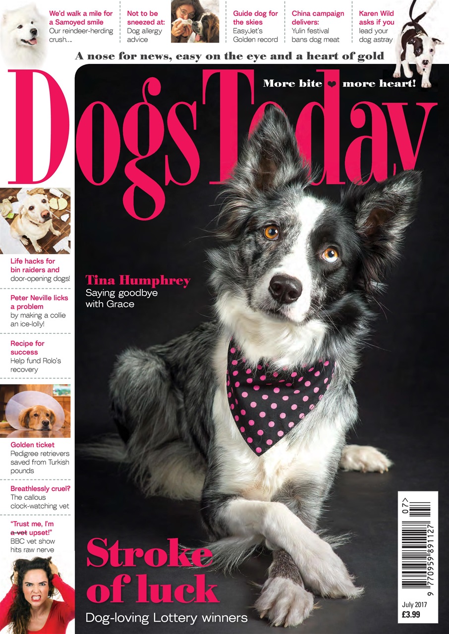 Dogs Today Magazine Preview Pages