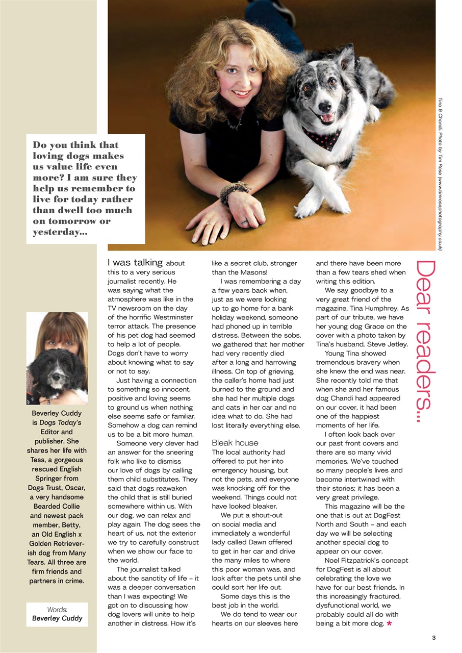 Dogs Today Magazine Preview Pages