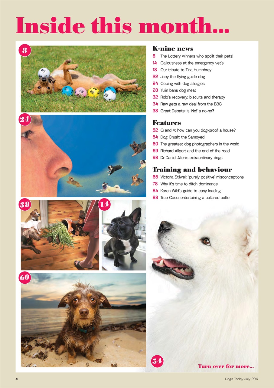 Dogs Today Magazine Preview Pages