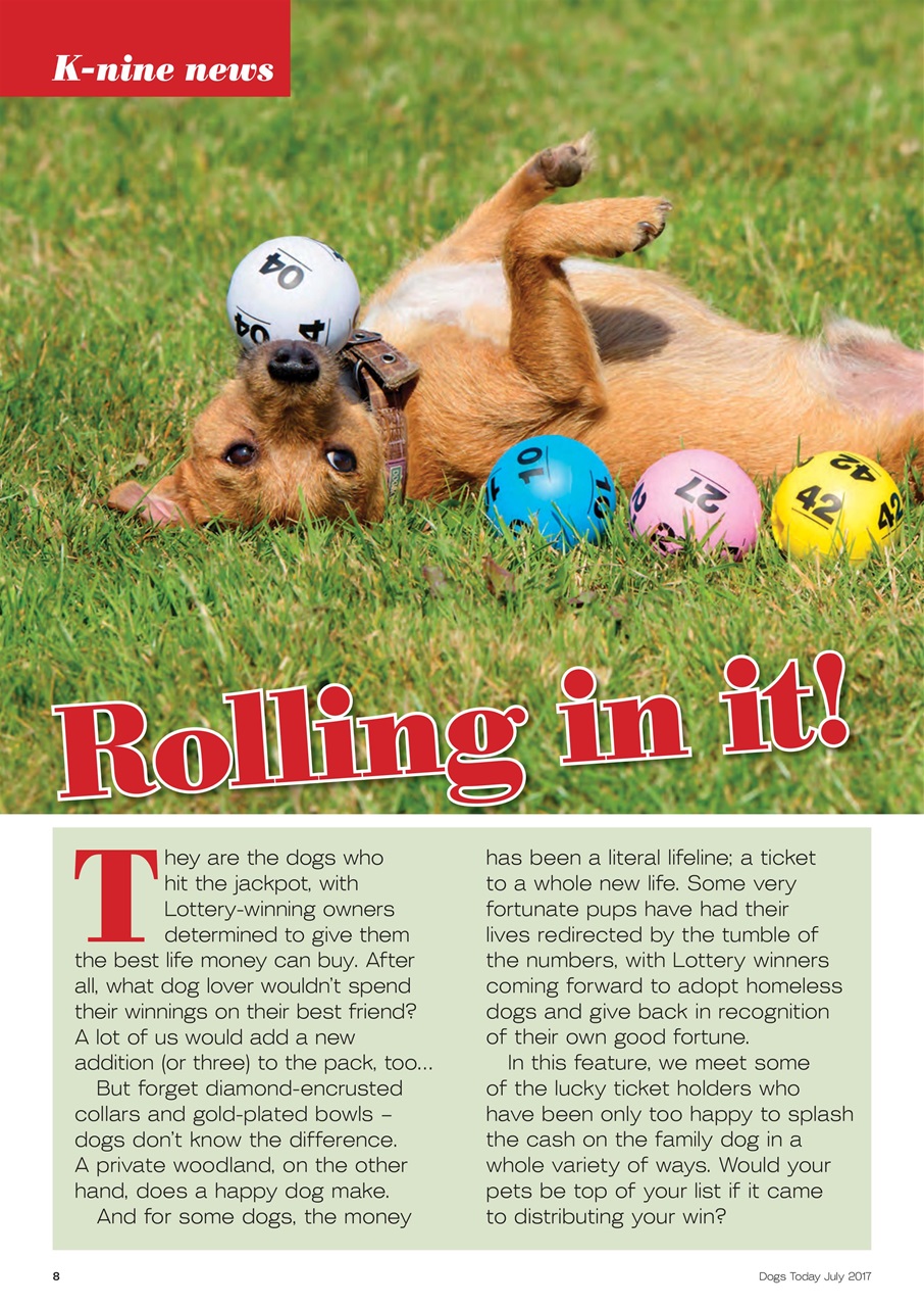 Dogs Today Magazine Preview Pages