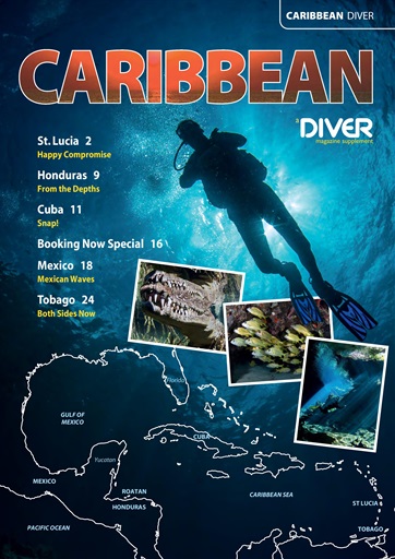 DIVER issue 