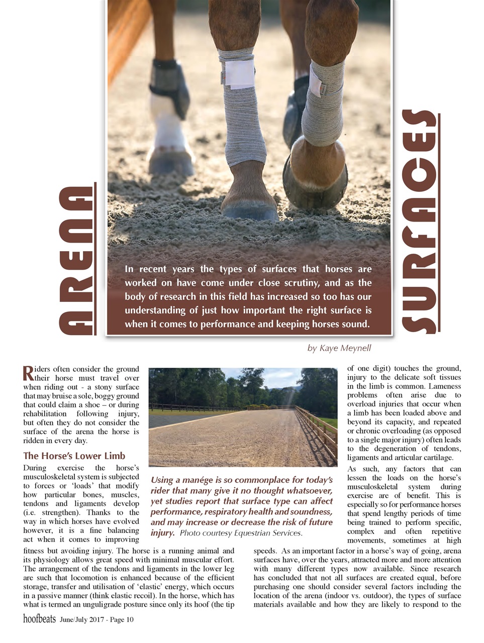 Hoofbeats Preview Pages