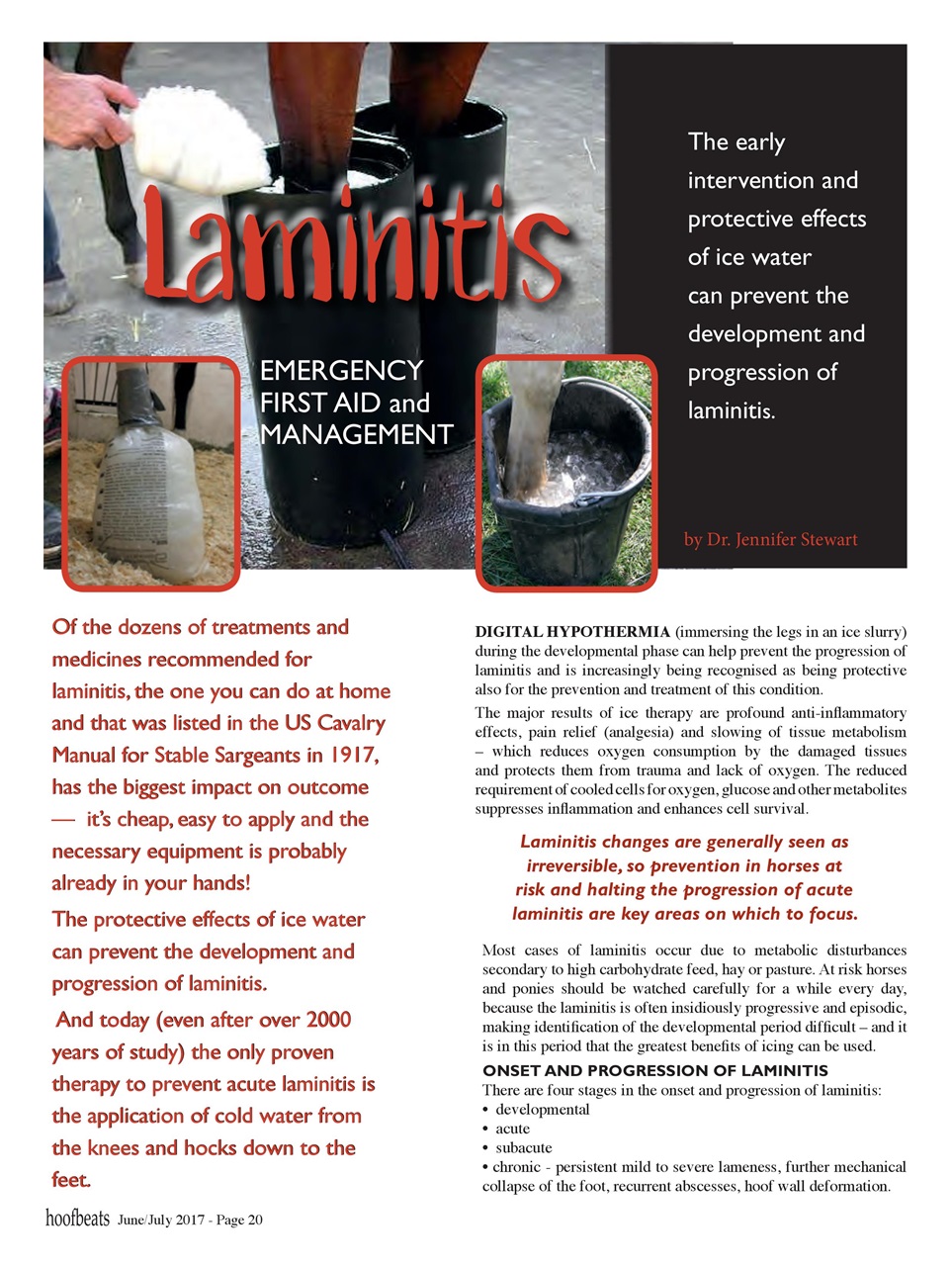 Hoofbeats Preview Pages