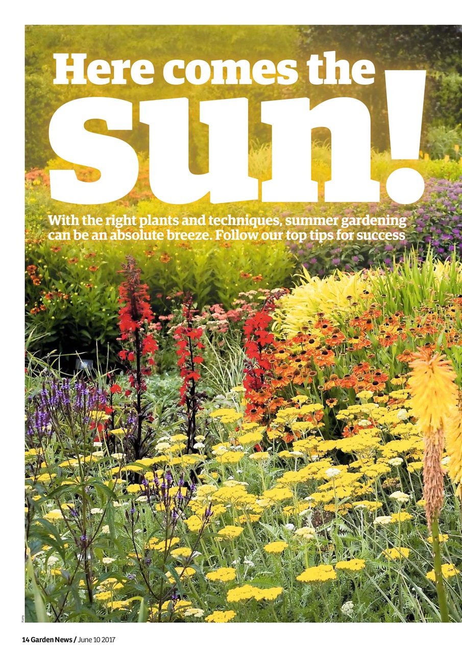 Garden News Preview Pages