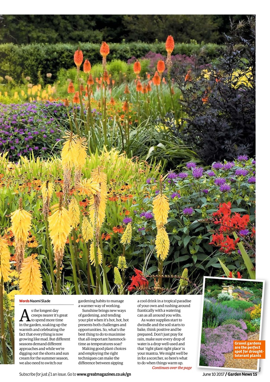 Garden News Preview Pages
