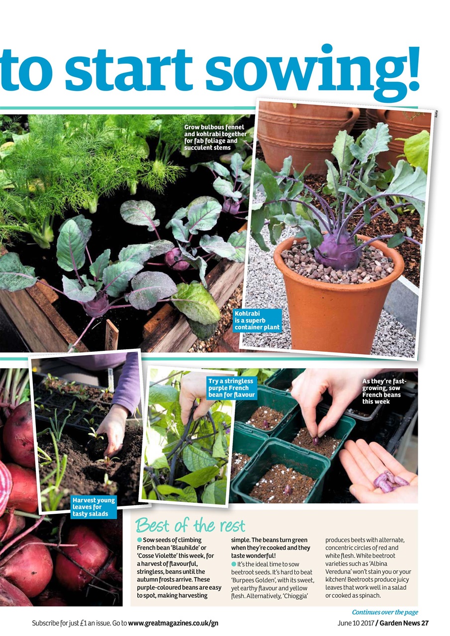 Garden News Preview Pages
