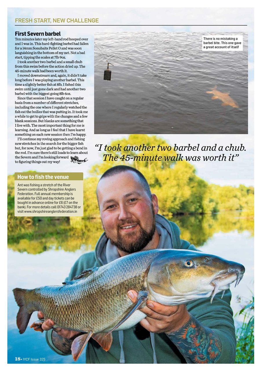 Improve Your Coarse Fishing Preview Pages