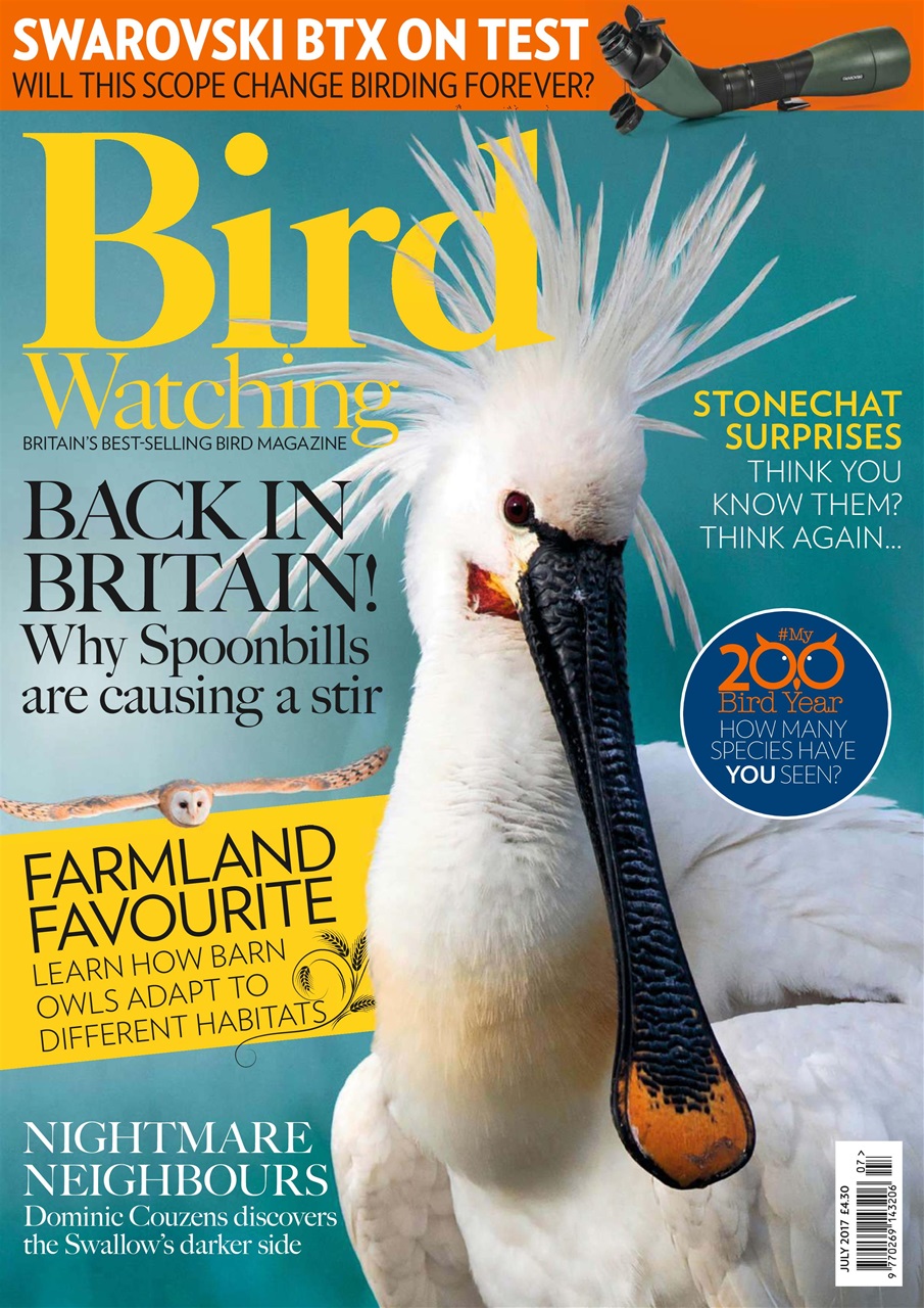 Bird Watching Preview Pages