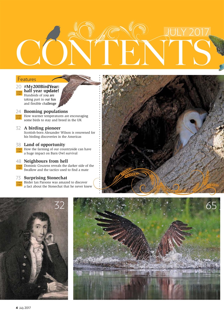 Bird Watching Preview Pages