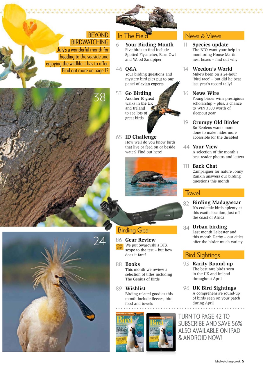 Bird Watching Preview Pages