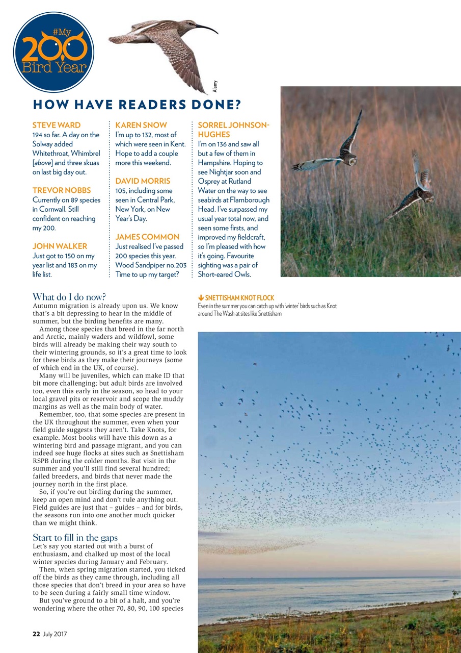 Bird Watching Preview Pages