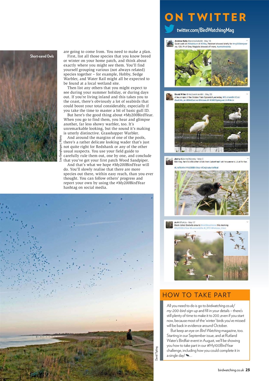 Bird Watching Preview Pages