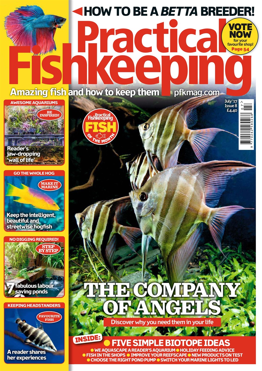 Practical Fishkeeping Preview Pages