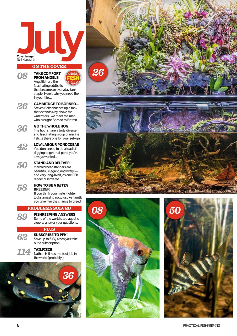 Practical Fishkeeping Preview Pages