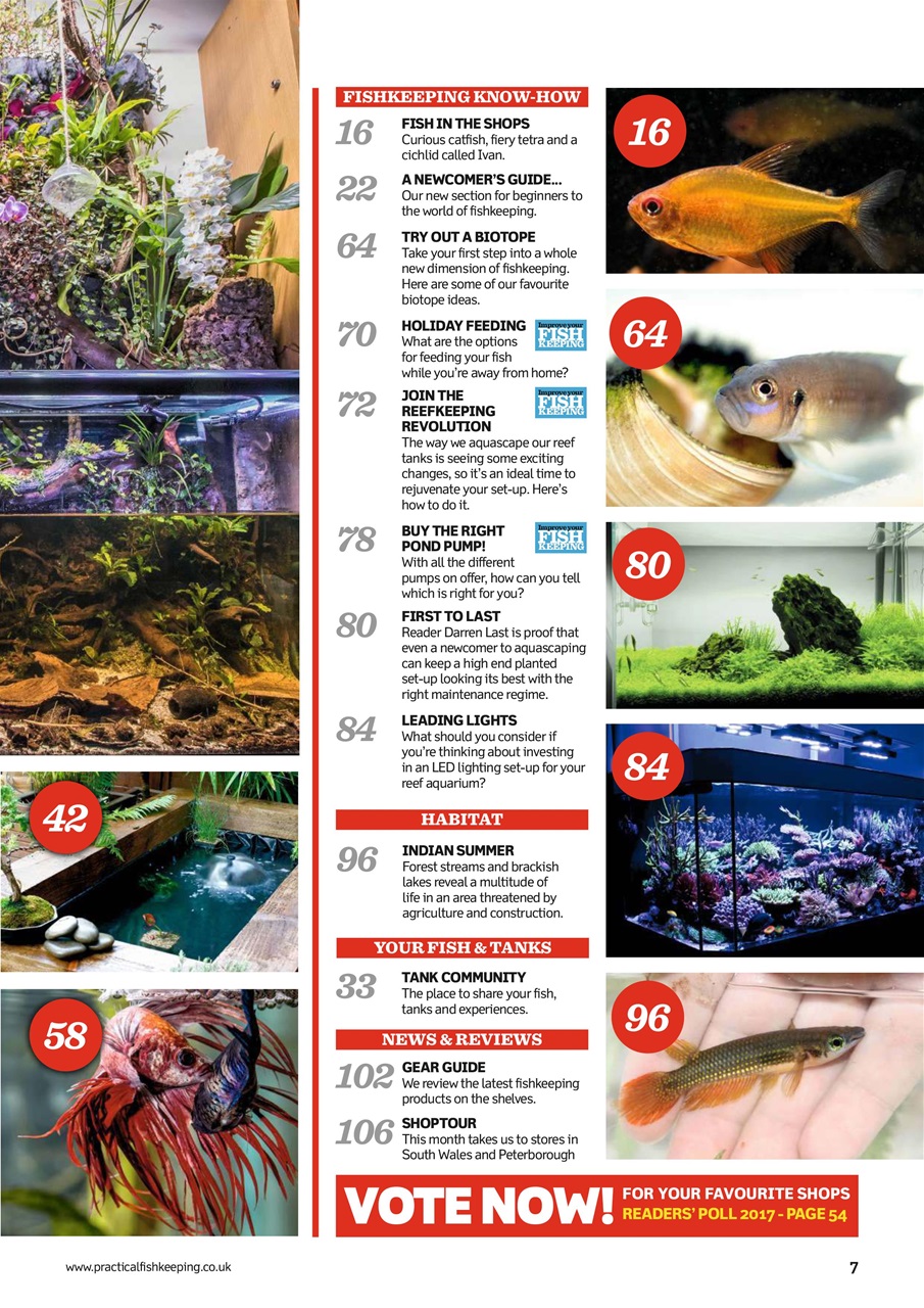 Practical Fishkeeping Preview Pages