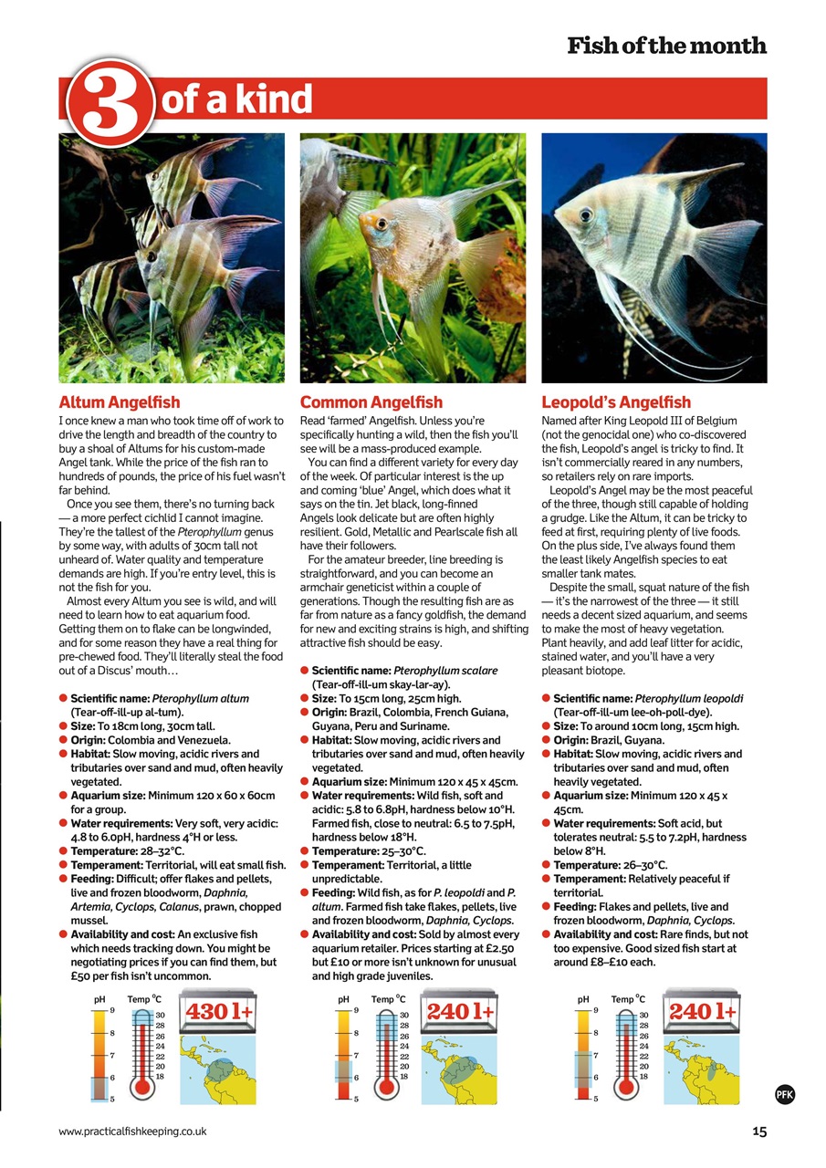 Practical Fishkeeping Preview Pages
