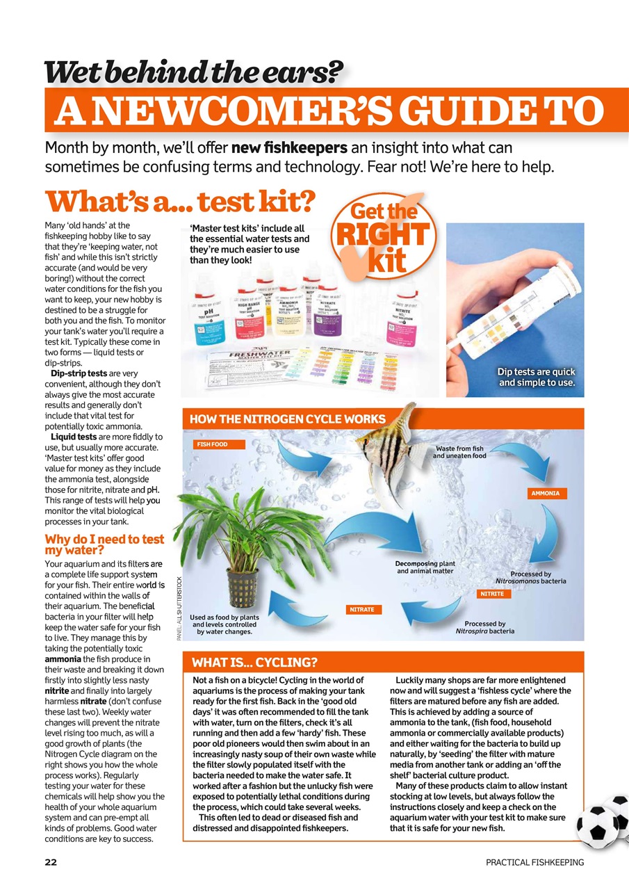 Practical Fishkeeping Preview Pages