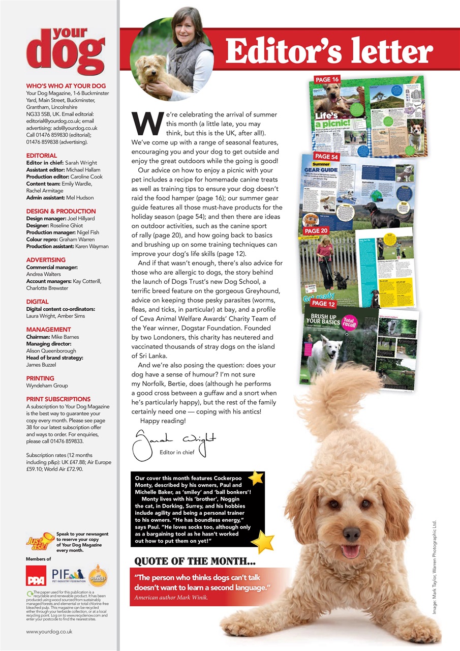 Your Dog Preview Pages