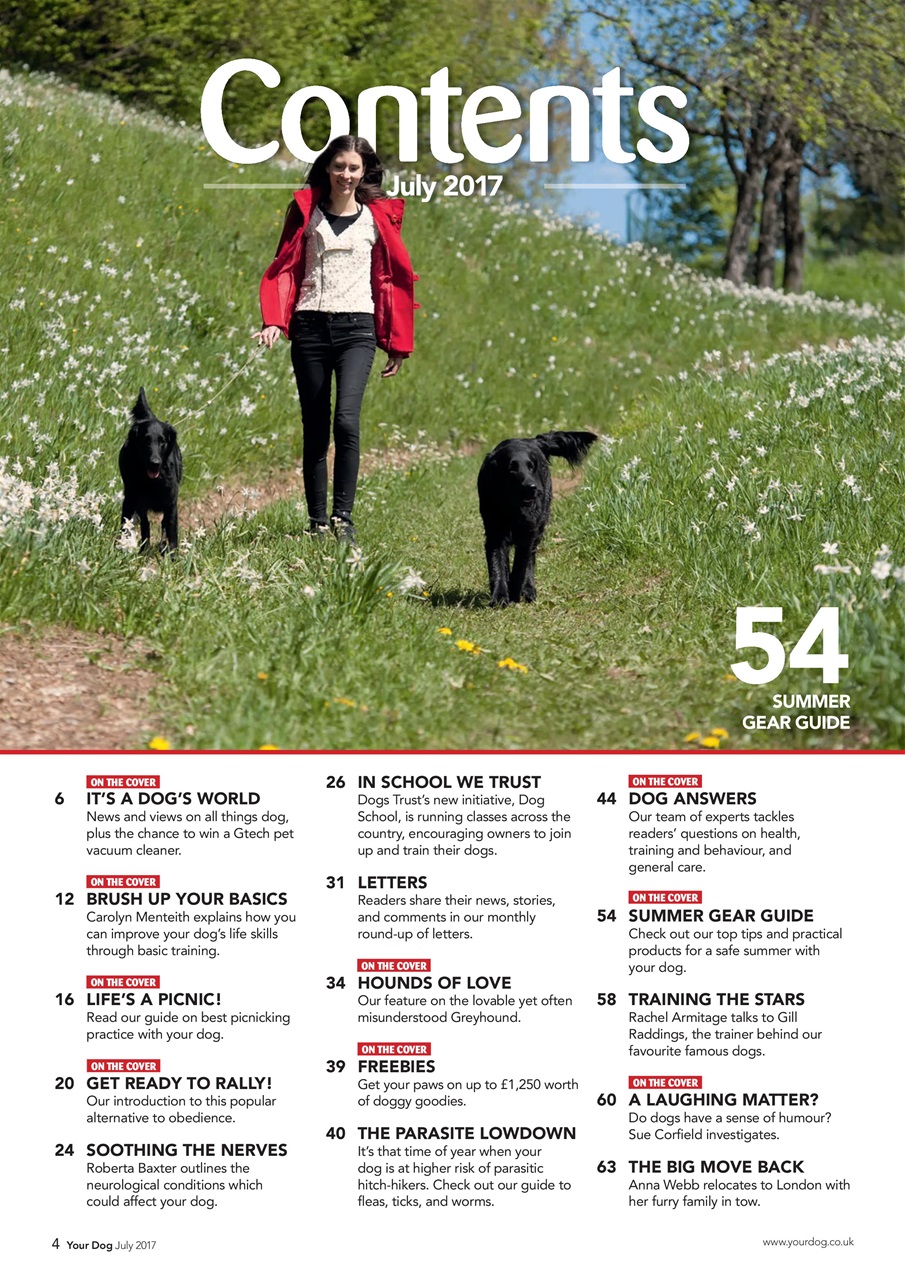 Your Dog Preview Pages