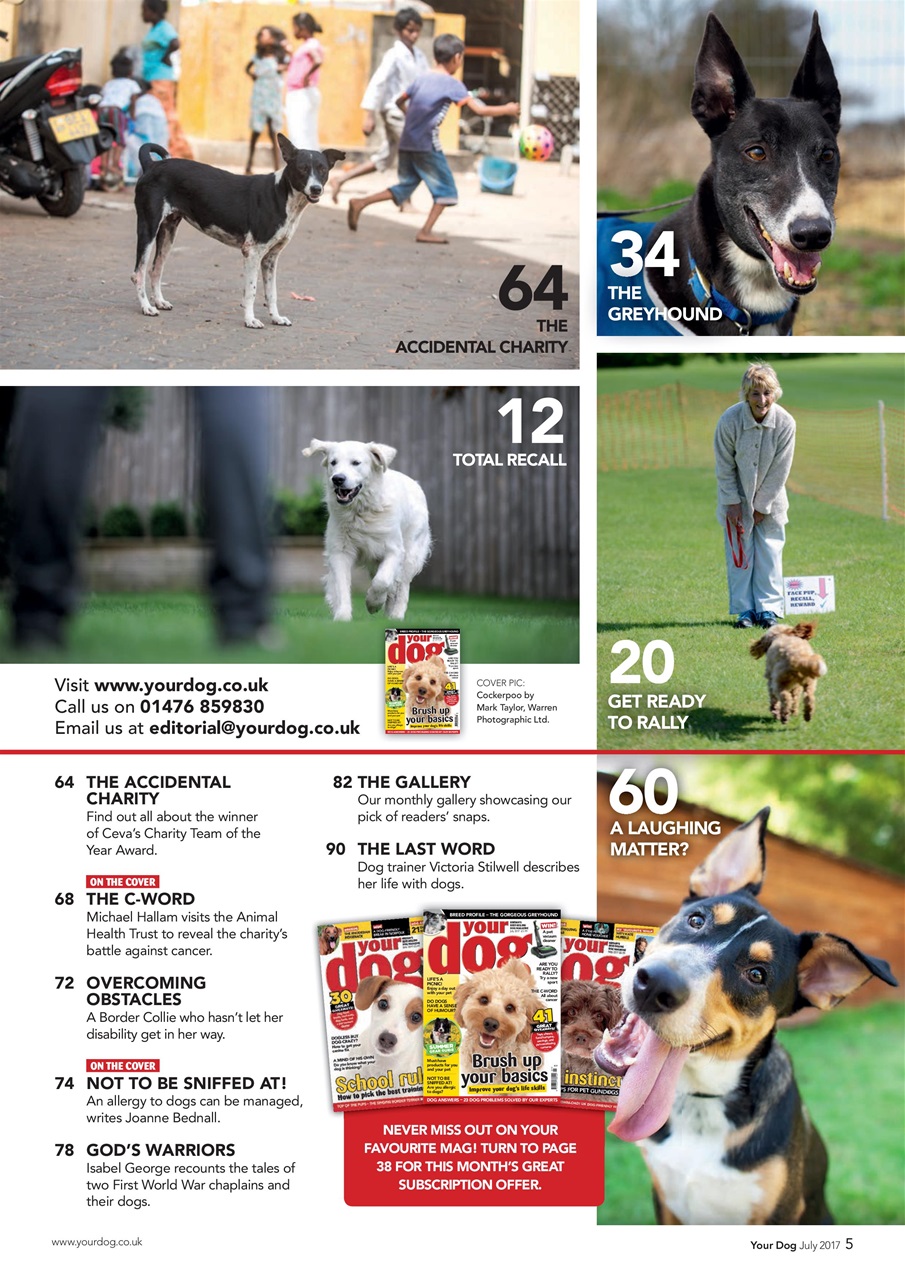 Your Dog Preview Pages