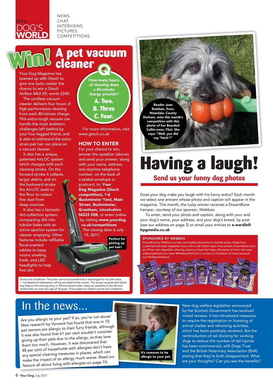 Your Dog Preview Pages
