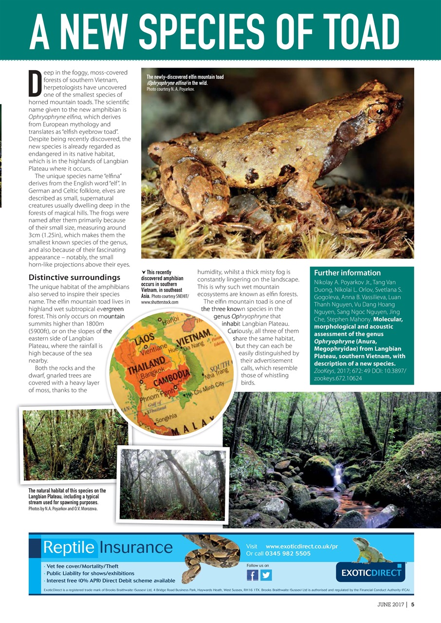Practical Reptile Keeping Preview Pages