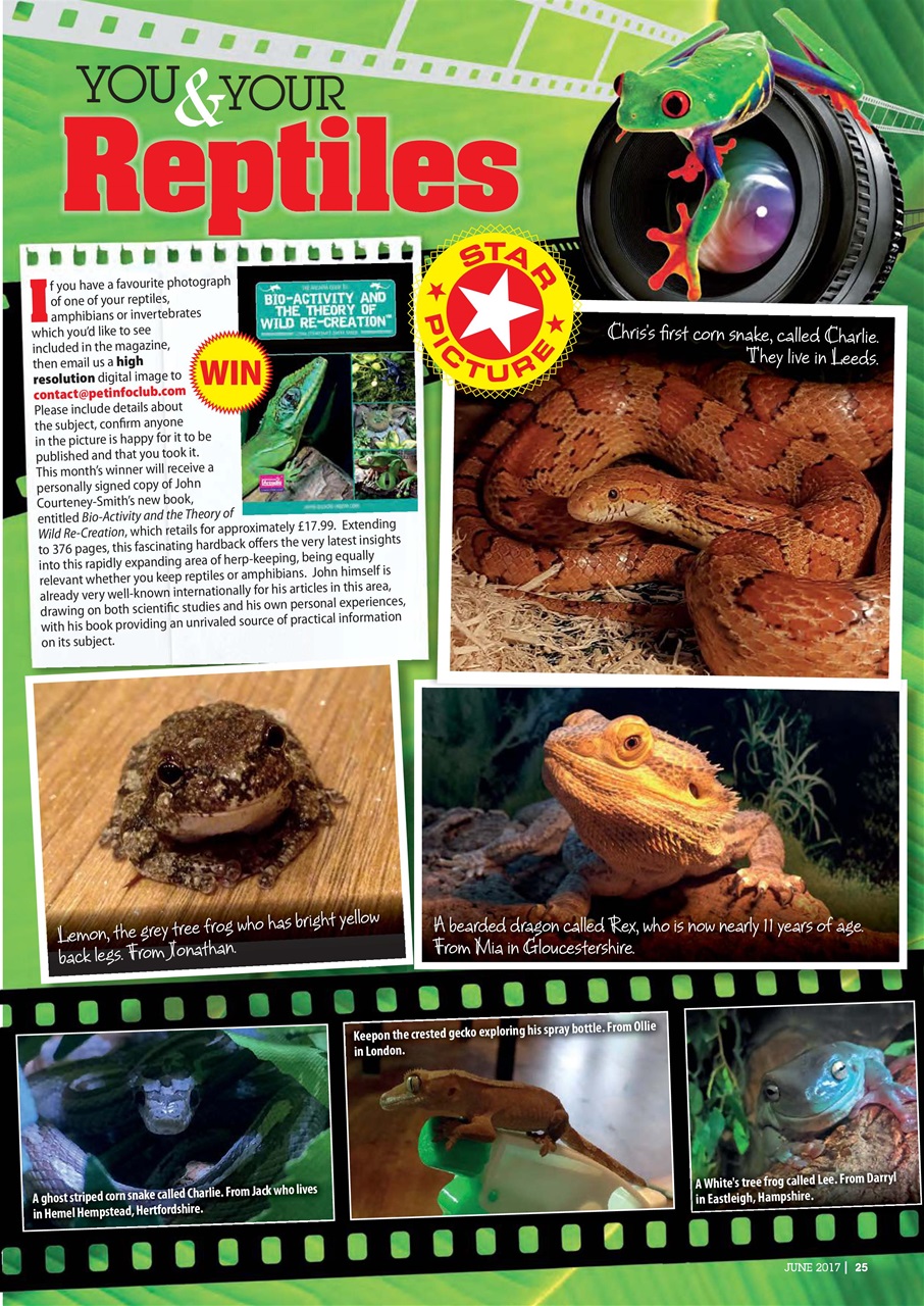 Practical Reptile Keeping Preview Pages