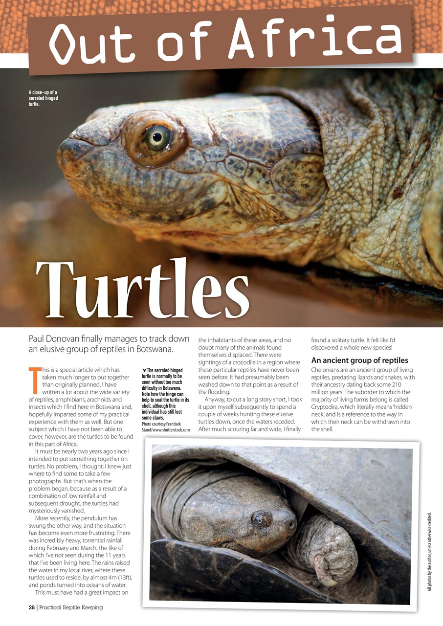 Practical Reptile Keeping Preview Pages