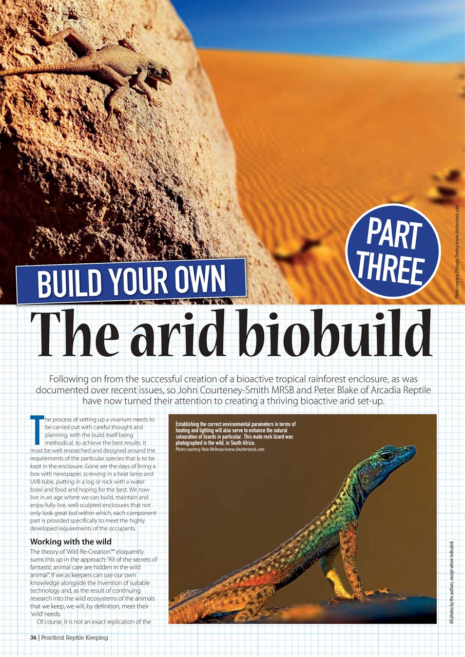 Practical Reptile Keeping Preview Pages