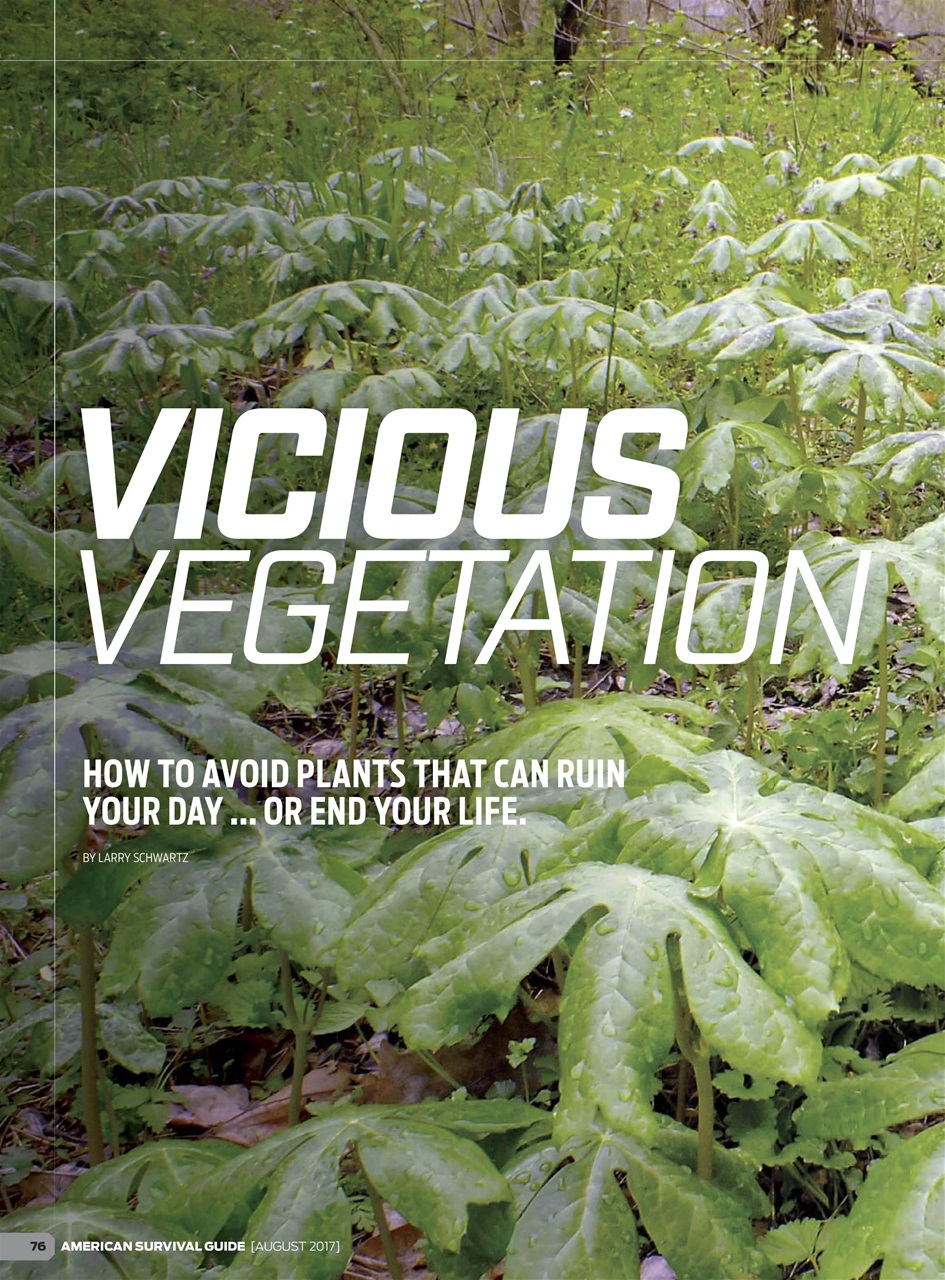 American Outdoor Guide: Boundless Preview Pages