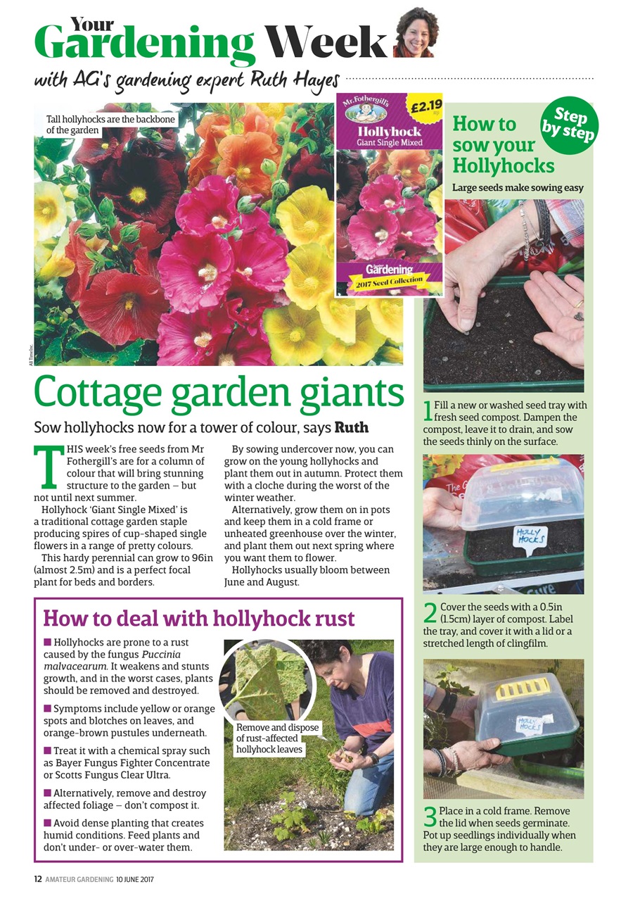 Amateur Gardening Preview Pages