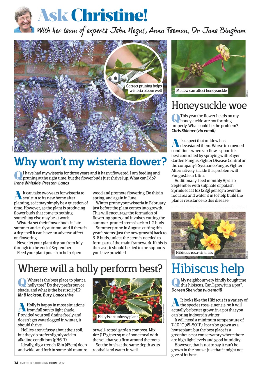 Amateur Gardening Preview Pages