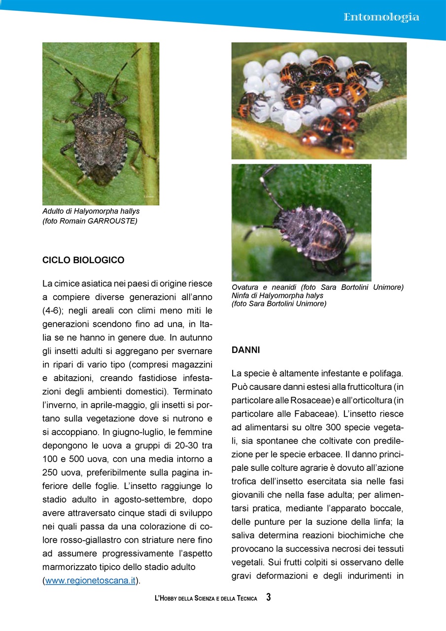 L'HOBBY DELLA SCIENZA E DELLA TECNICA Preview Pages