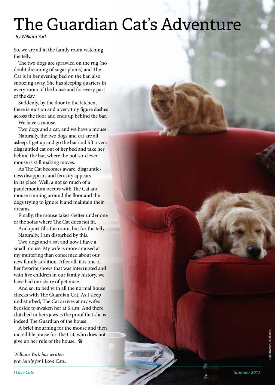 I Love Cats Preview Pages