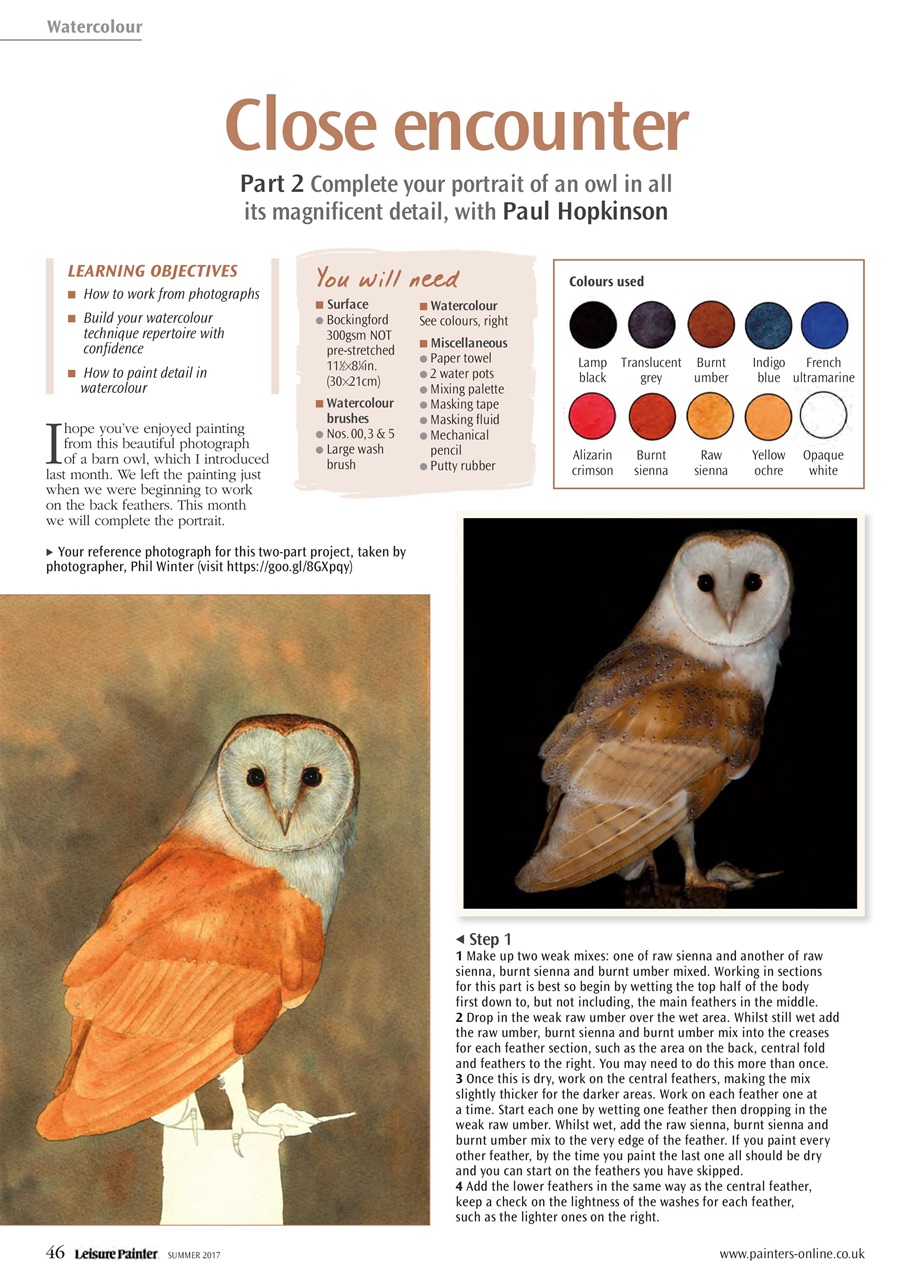 Leisure Painter & The Artist Preview Pages
