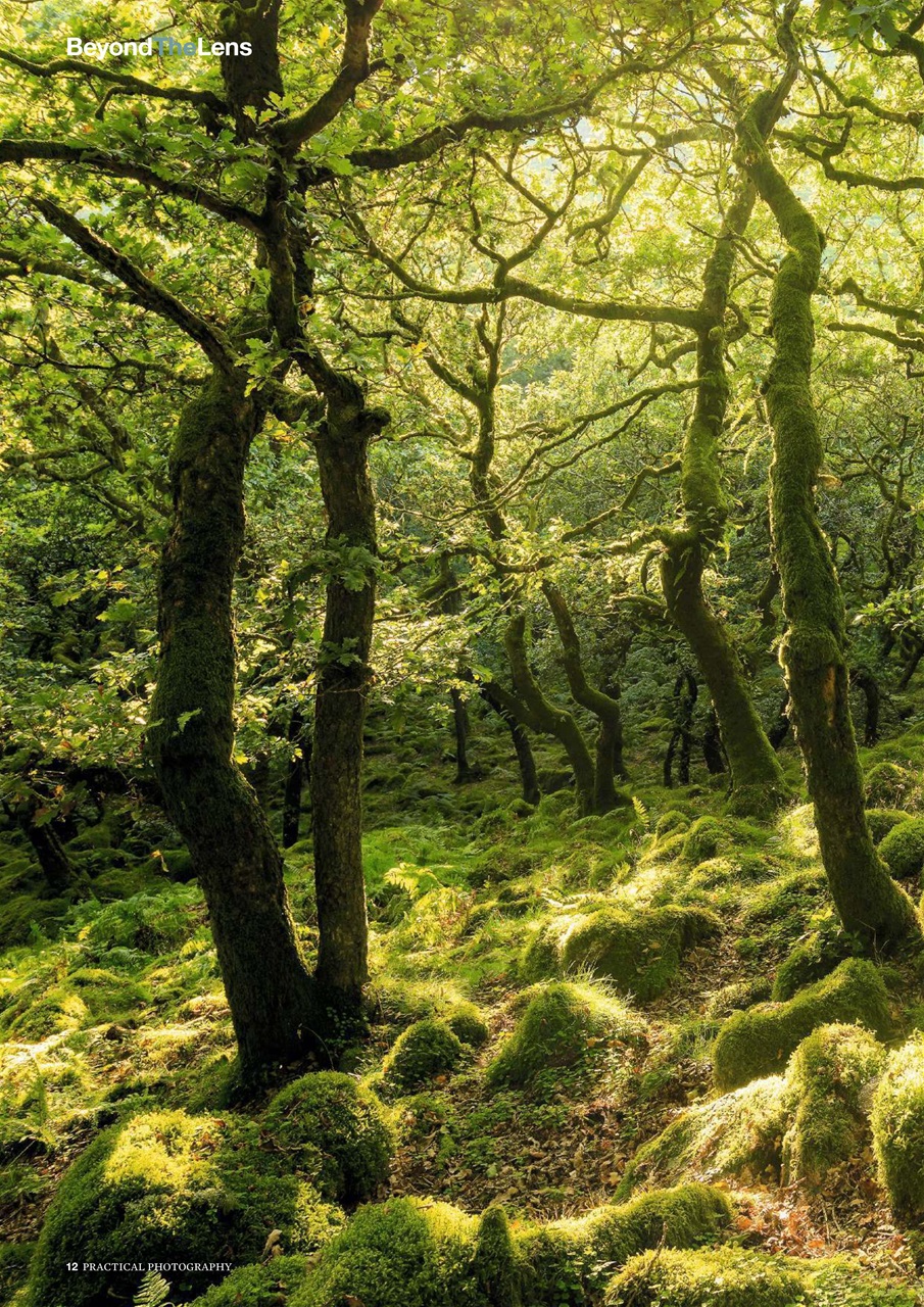 Practical Photography Preview Pages