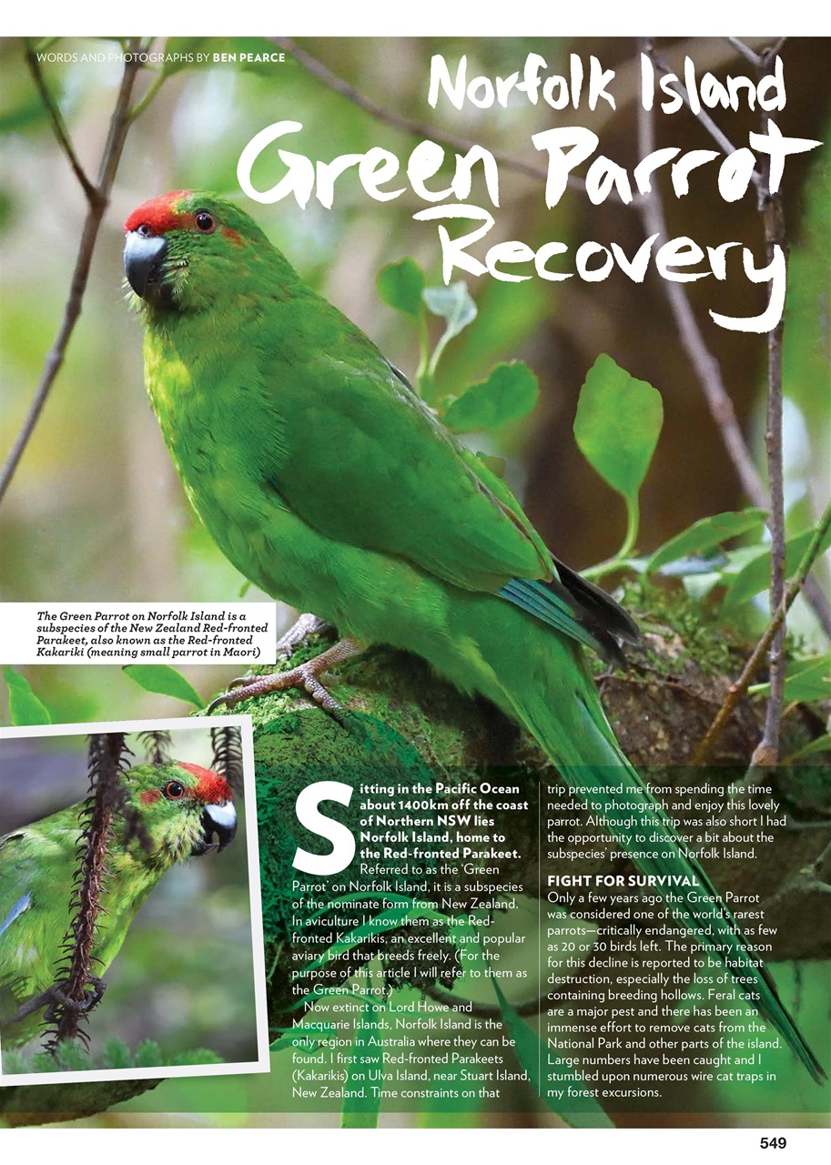 Australian Birdkeeper Magazine Preview Pages