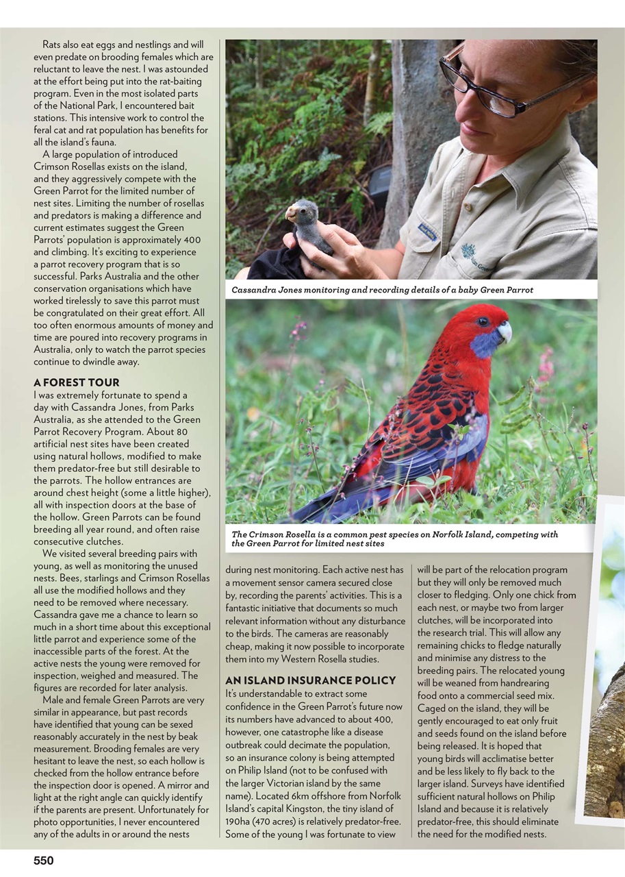 Australian Birdkeeper Magazine Preview Pages