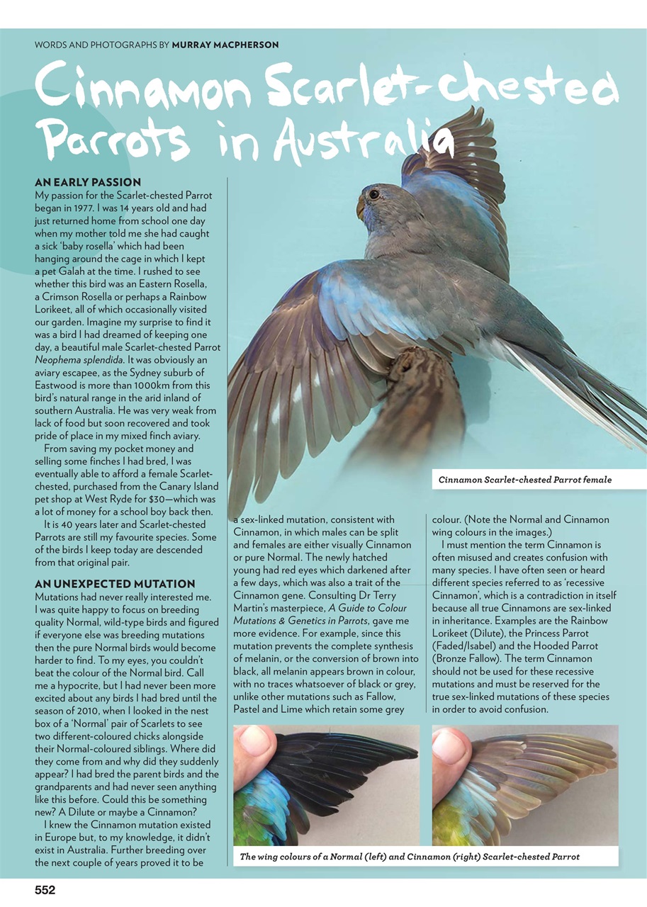 Australian Birdkeeper Magazine Preview Pages
