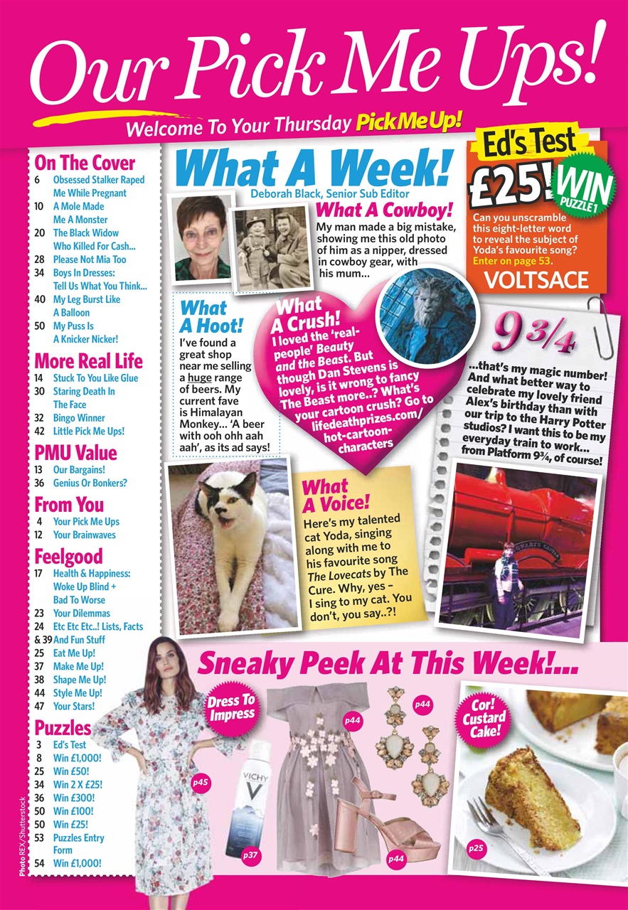 Pick Me Up Preview Pages