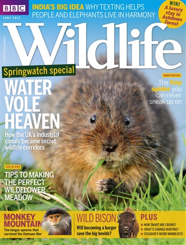 BBC Wildlife Magazine issue June 2017