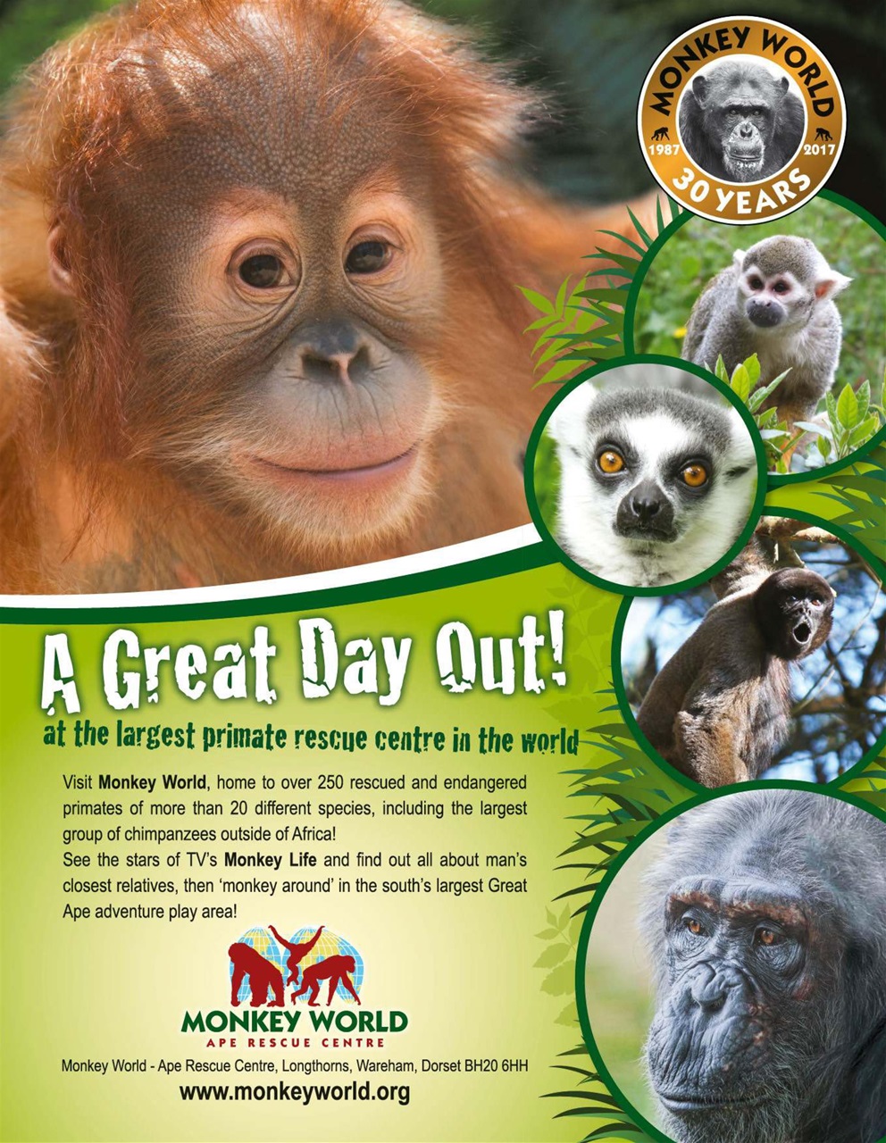 World of Animals Preview Pages