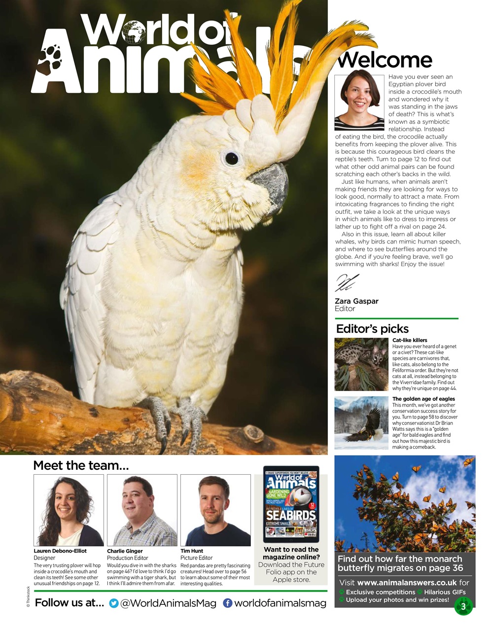 World of Animals Preview Pages