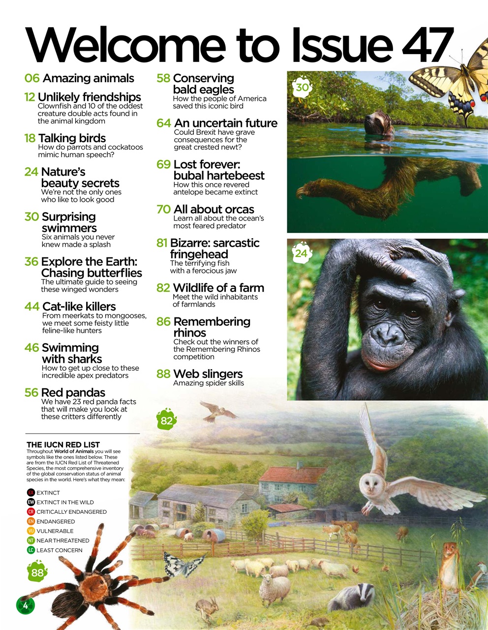 World of Animals Preview Pages