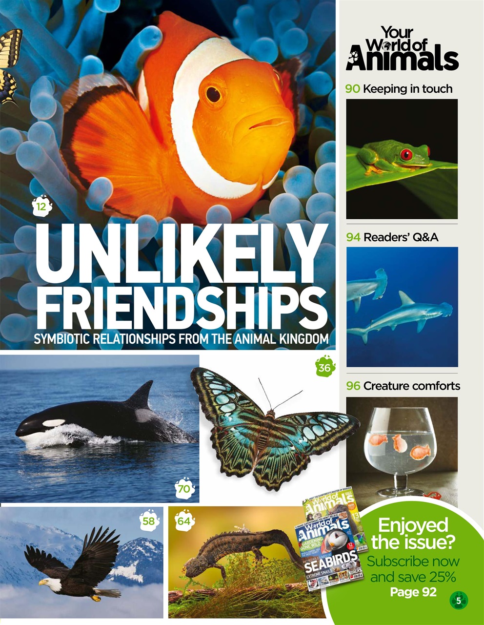 World of Animals Preview Pages