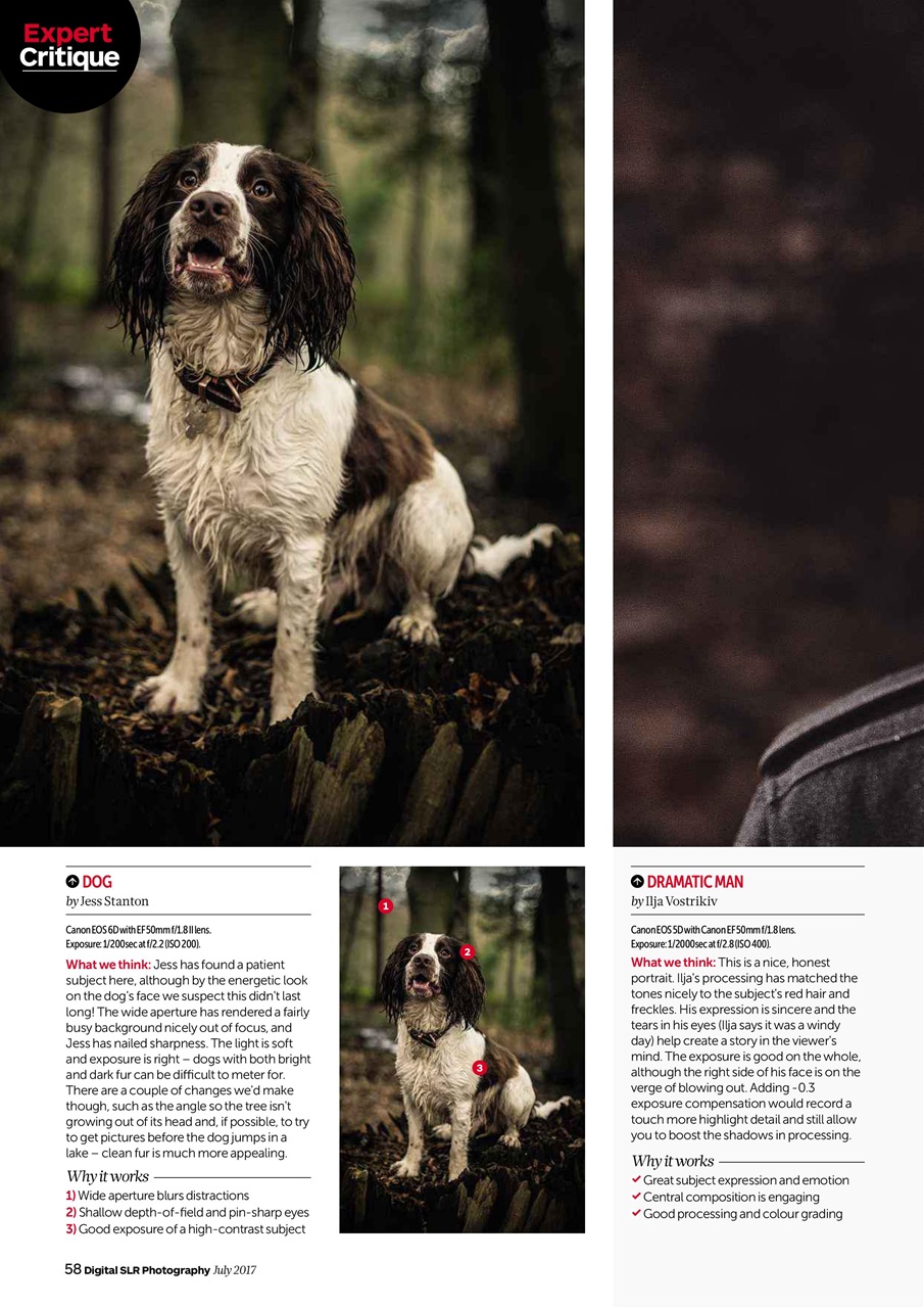 Digital SLR Photography Preview Pages